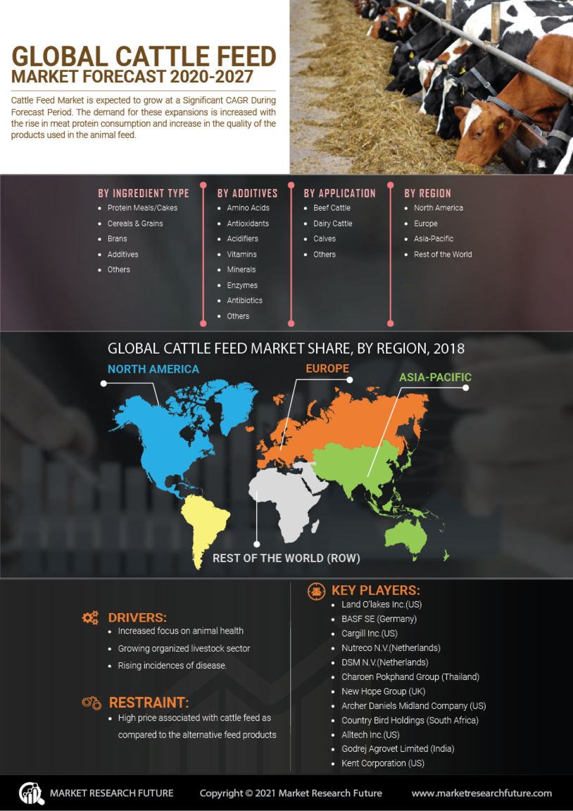 Cattle Feed Market Research Report - Global Forecast till 2028