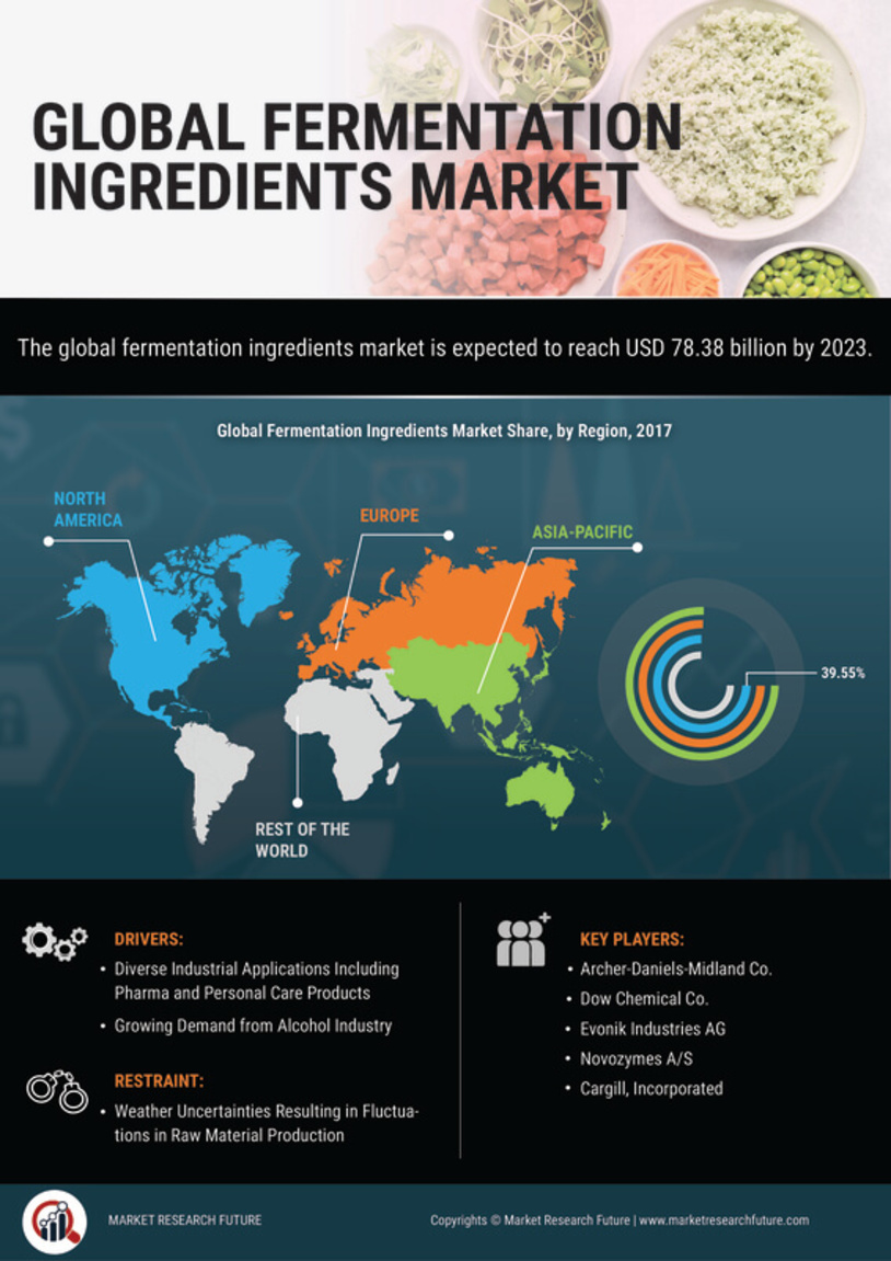 Fermentation Ingredients Market Research Report - Forecast to 2030