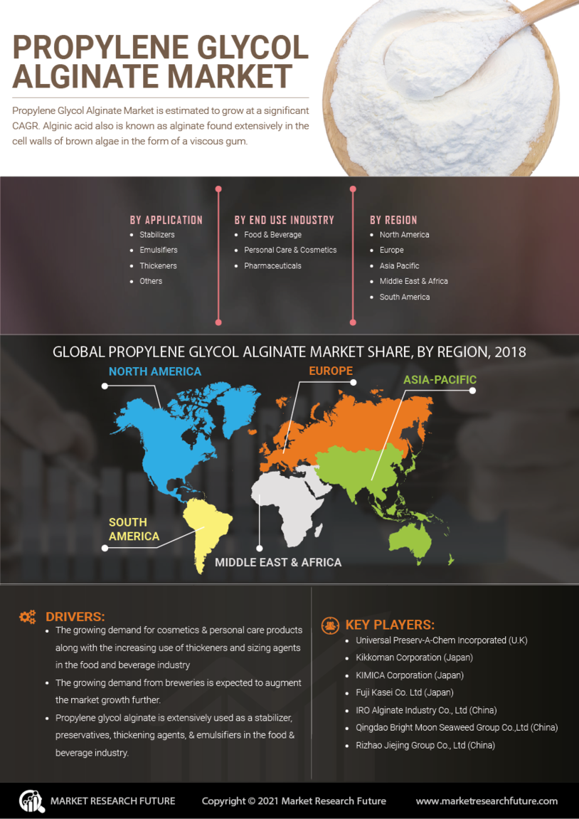 Propylene Glycol Alginate Market Research Report - Forecast to 2030