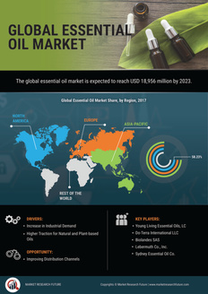Info index view global essential oil market