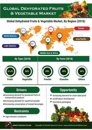 Infographics - Dehydrated fruits & vegetables market Size, Global ...